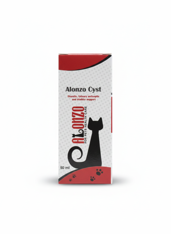 Alonzo cyst 50ml