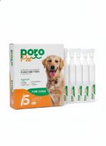 PORO dogs ampoule