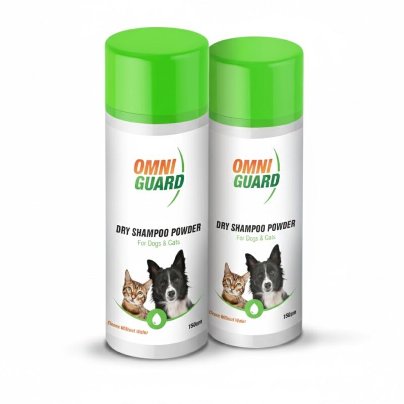 Dry shampoo for hair care 150gm from omnigaurd - green