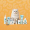 cat pharmacy health 1