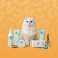 cats grooming section