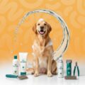 dog grooming