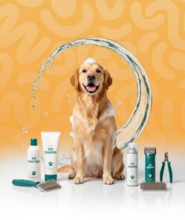 dog grooming