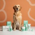 dog health section